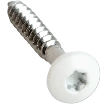 Schraube mit weißem Kopf und Torx-Antrieb