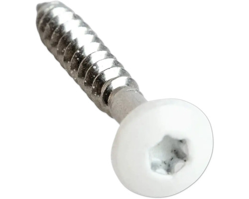 Schraube mit weißem Kopf und Torx-Antrieb