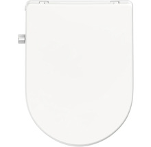 Toilettendeckel aus Sanitärkeramik