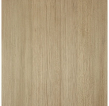 Holzstruktur Nahaufnahme