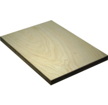 Multiplexplatte Platte unbehandelt holz 2500 x 1220 x 18 mm-thumb-1