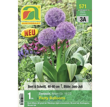 Zierlauch Party Balloons Blumenzwiebel von Austrosaat