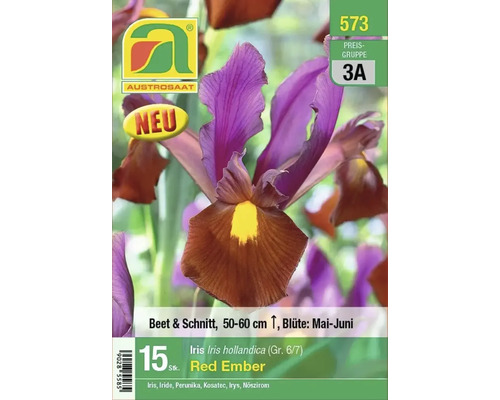 Iris Red Ember Blumenzwiebel, geeignet für Beet und Schnittblumen