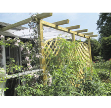 Holzpergola mit Kletterpflanzen im Garten