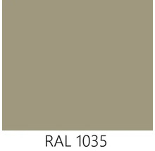 RAL 1035 Farbton