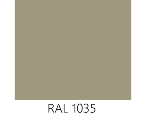 RAL 1035 Farbton