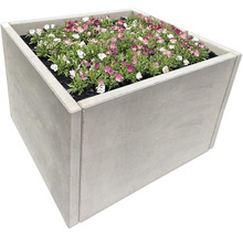 Quadratischer Pflanzkasten mit blühenden Pflanzen