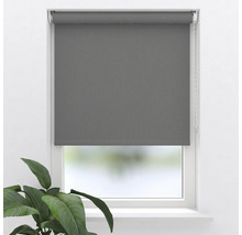 Graues Rollo am Fenster mit Pflanze im Raum.