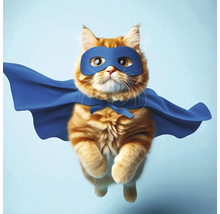 Katze mit Maske und Umhang