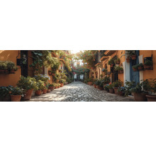 Gasse mit Pflastersteinen und Pflanzen in Tontöpfen entlang der Gebäude