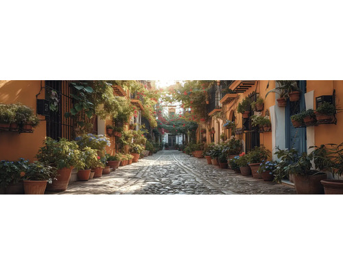 Leinwandbild alte Gasse 150x50 cm Gasse mit Pflastersteinen und Pflanzen in Tontöpfen entlang der Gebäude