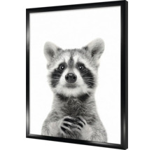 Gerahmtes Schwarzweiß-Poster mit einem Waschbären
