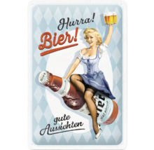 Metallschild mit Pin-up-Motiv, Bierflasche und Biergläsern