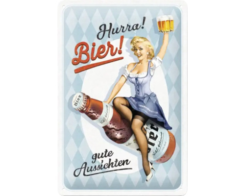 Metallschild mit Pin-up-Motiv, Bierflasche und Biergläsern