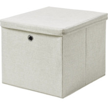 Quadratische Aufbewahrungsbox mit Deckel und Öse
