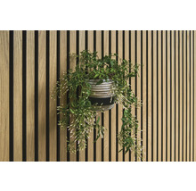 Dekorative Wand mit Holzpaneelen und Topfpflanze