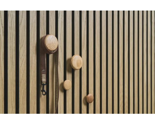 Holzwand mit runden Kleiderhaken und Hundeleine