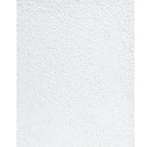 Nahaufnahme einer Wand mit Putzstruktur