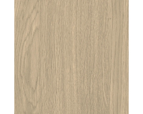 Holzstruktur einer hellen Eichenholzplatte