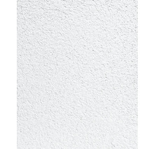 Nahaufnahme einer Wand mit Rauputzstruktur