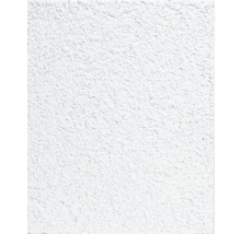 Nahaufnahme einer Putzoberfläche