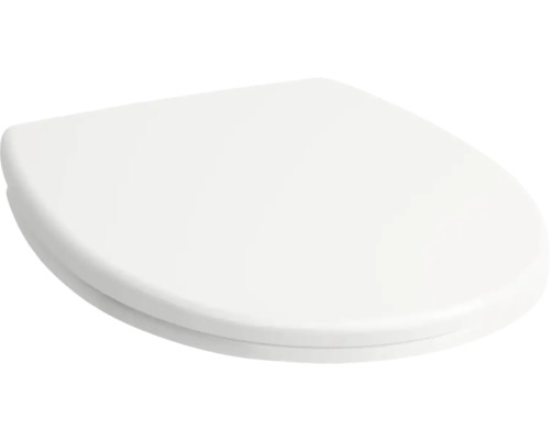 Toilettendeckel
