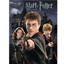 Harry Potter Filmplakat mit Hogwarts und den Hauptfiguren