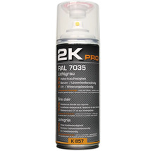 2K Pro Lack Spraydose RAL 7035 Lichtgrau
