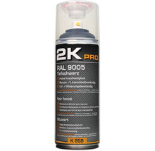 2K Pro Sprühfarbe Tiefschwarz RAL 9005