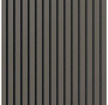 Paneelwand mit vertikalen Lamellen