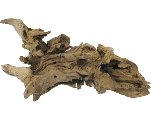 Wurzelholz für Aquarien