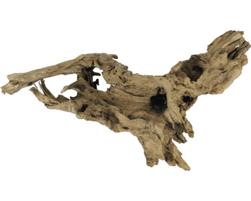 Wurzelholz für Aquarien