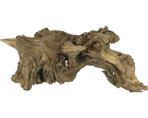 Wurzelholz für Aquarien