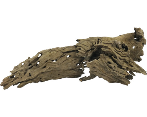 Wurzelholz für Aquarien und Terrarien