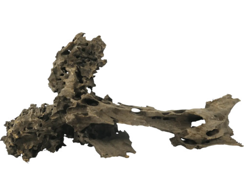 Verwittertes Wurzelholzstück zur Dekoration