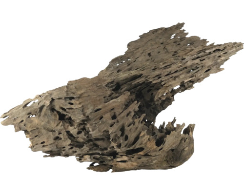 Dekoratives Moorkienholz für Aquarien und Terrarien