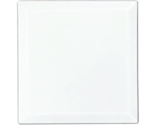 Quadratische Glasfliese