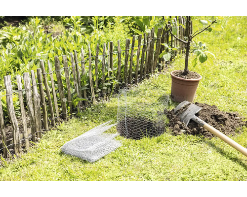 Gartenszene mit Lattenzaun, Spaten, Drahtgeflecht und eingetopftem Baum