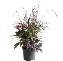 Blumenarrangement mit Ziergräsern und rosa Blüten in einem Topf