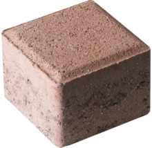 Einzelner Pflasterstein