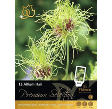 Verpackung mit 15 Zierlauch Hair Blumenzwiebeln