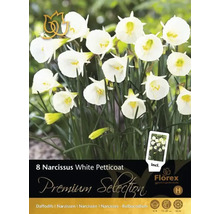 Verpackung mit acht Narzissen White Petticoat