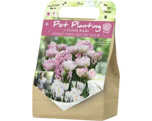 Blumenzwiebeln für Topfbepflanzung, 15 Stück