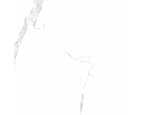 Keramik Bodenfliese Statuario Grigio Shiny 45x45 cm weiß matt Fliese mit Marmoroptik