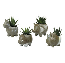 Vier Tierfiguren Blumentöpfe mit Sukkulenten