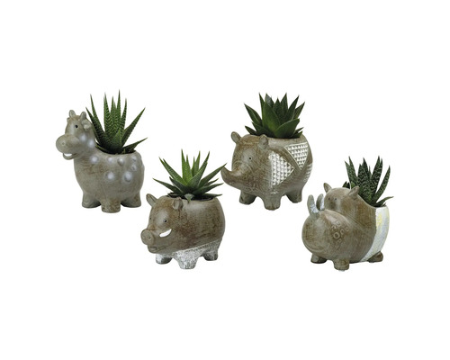 Vier Tierfiguren Blumentöpfe mit Sukkulenten