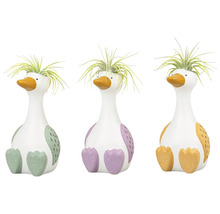 Drei Deko-Enten mit Pflanzen aufgereiht.