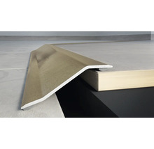 Bodenprofil für einen Übergang zwischen zwei verschiedenen Bodenbelägen