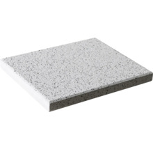 Deckenplatte aus Mineralfaser