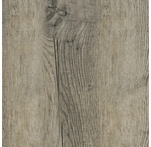 Holzstruktur mit Maserung